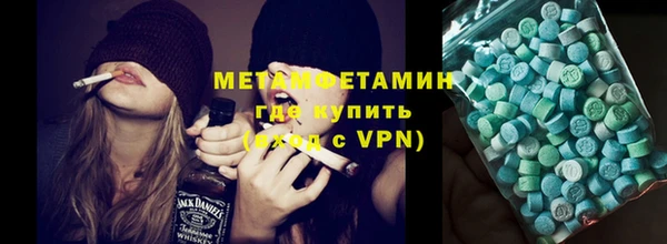 прущие грибы Осташков