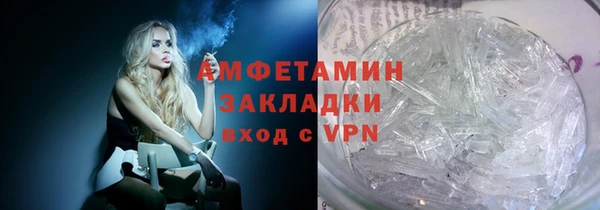 прущие грибы Осташков