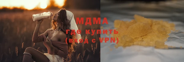 прущие грибы Осташков