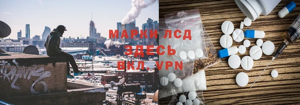 прущие грибы Осташков