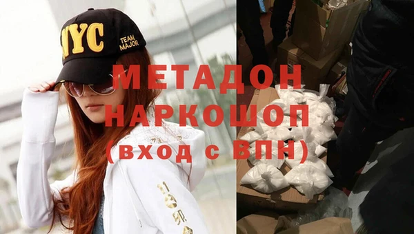 прущие грибы Осташков