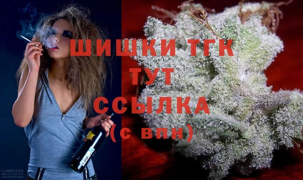 скорость Гатчина