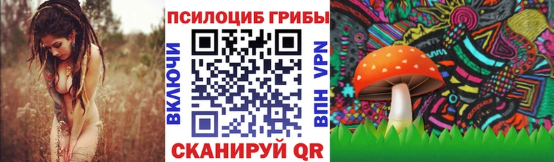 блэк спрут рабочий сайт Кудрово Галлюциногенные грибы MAGIC MUSHROOMS купить цена