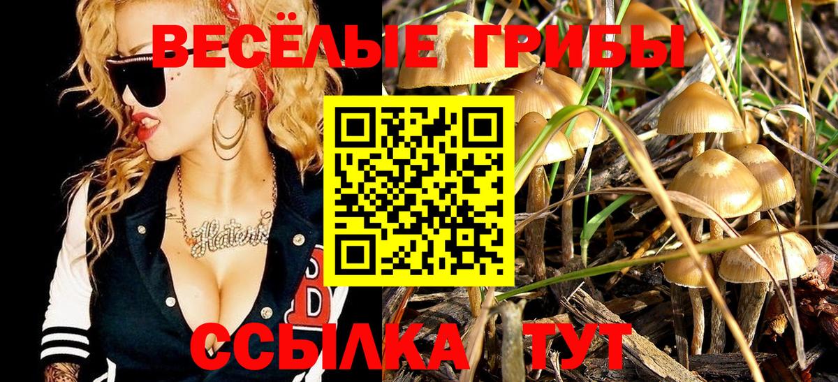 Кудрово  Псилоцибиновые грибы ЛСД  Вход с VPN 