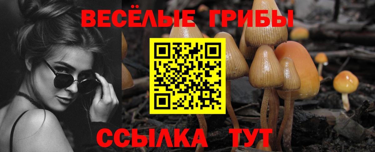 Псилоцибиновые грибы Magic Shrooms Кудрово