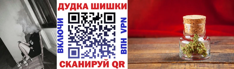 Бошки Шишки индика  купить наркоту  Кудрово 